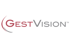 GestVision, Inc
