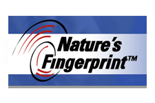 Nature’s Fingerprint