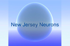 New Jersey Neurons